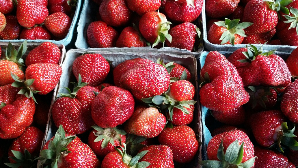 20160609_074952_resized