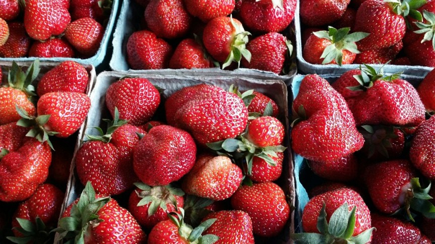 20160609_074952_resized