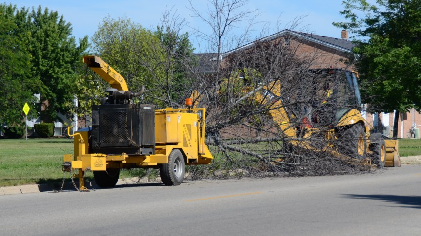 City to offer free brush chipping service week of April 9; reserve your spot&nbsp;today!