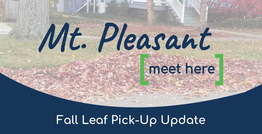 2020 Fall Leaf Collection Information (Updated&nbsp;11/6/2020)