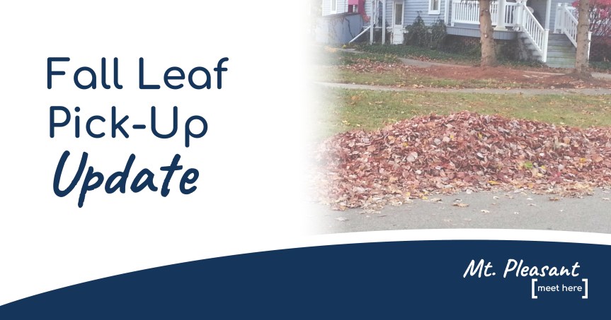 2023 Fall Leaf&nbsp;Collection