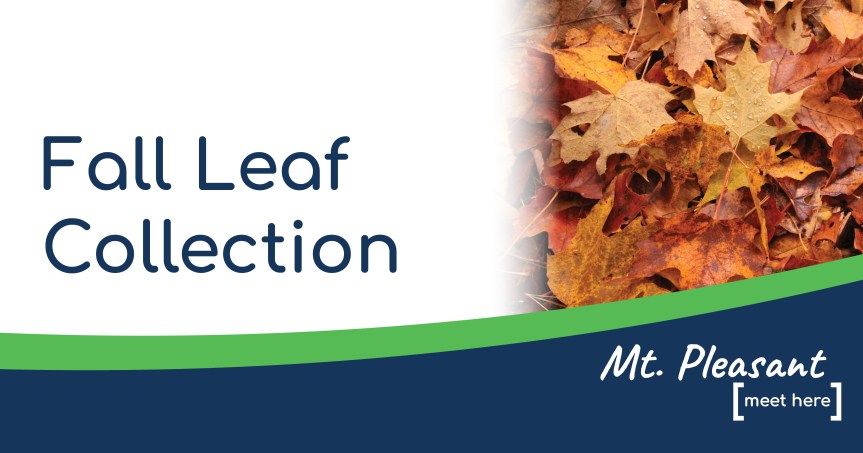 2025 Fall Leaf Collection&nbsp;Information