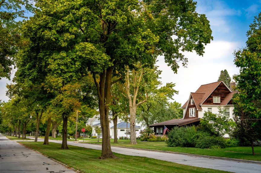 Free Tree Planting&nbsp;Program